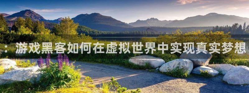 长征娱乐平台：：游戏黑客如何在虚拟世界中实现真实梦想