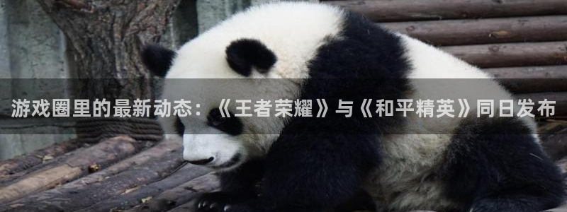 长征娱乐直属：游戏圈里的最新动态：《王者荣耀》与《和平精英》