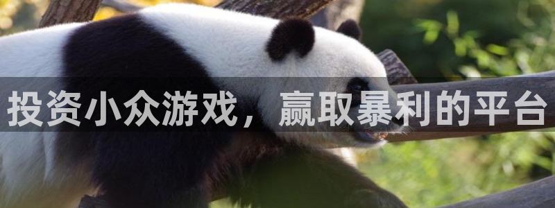 长征娱乐平台官方网站：投资小众游戏，赢取暴利的平台