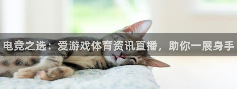 长征娱乐官方登录网址：电竞之选：爱游戏体育资讯直播，助你一展