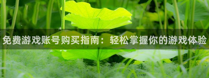 长征娱乐怎么注册：免费游戏账号购买指南：轻松掌握你的游戏体验