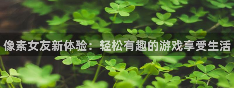 长征娱乐什么意思：像素女友新体验：轻松有趣的游戏享受生活