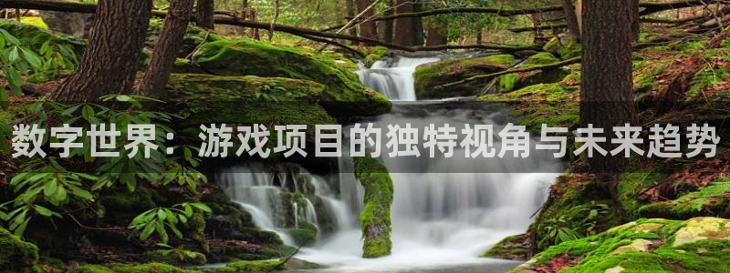 长征娱乐Ii：数字世界：游戏项目的独特视角与未来趋势