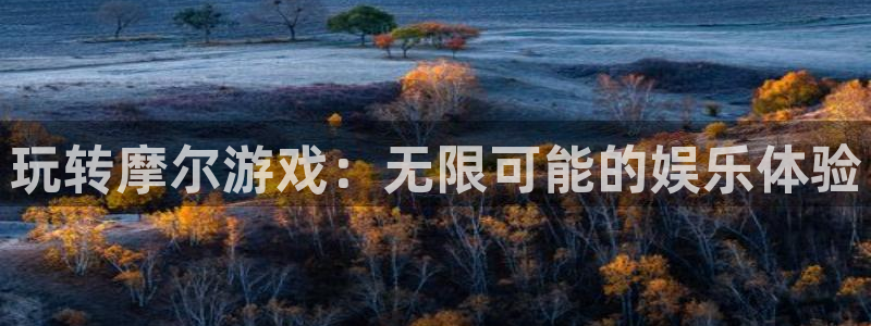 长征娱乐平台注册：玩转摩尔游戏：无限可能的娱乐体验