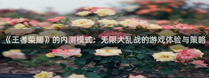 长征娱乐测速登陆：《王者荣耀》的内测模式：无限大乱战的游戏体