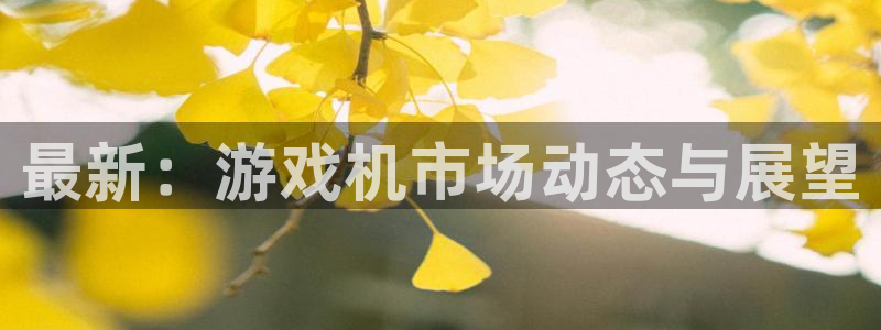 长征娱乐app下载|下载地址：最新：游戏机市场动态与展望