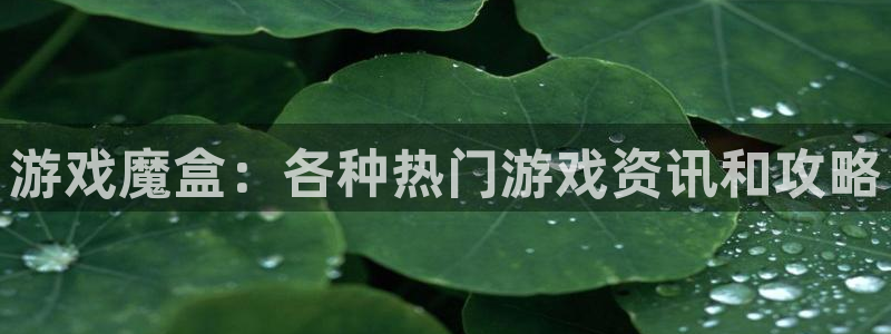长征娱乐怎么注册：游戏魔盒：各种热门游戏资讯和攻略