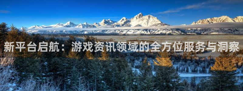 长征娱乐平台负责人：新平台启航：游戏资讯领域的全方位服务与洞