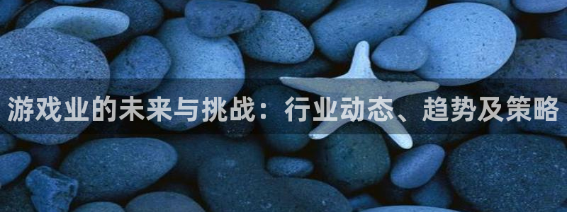 长征娱乐平台登录线路：游戏业的未来与挑战：行业动态、趋势及策