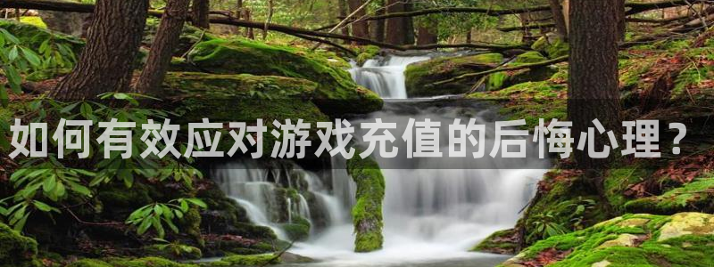长征娱乐登录网址：如何有效应对游戏充值的后悔心理？