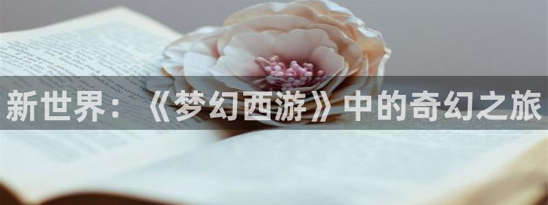 长征娱乐平台负责人：新世界：《梦幻西游》中的奇幻之旅